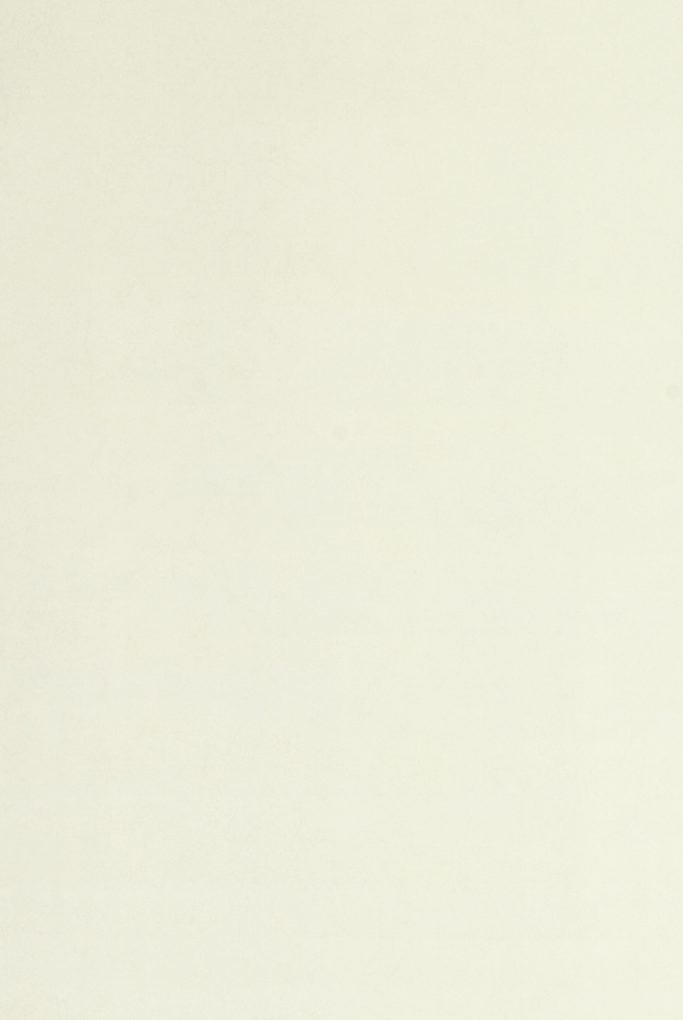 Ivory Vorschaubild